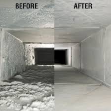 Clogged Air Ducts